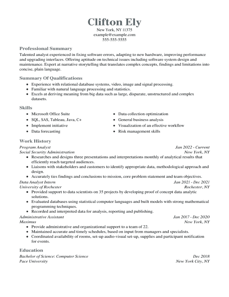Analyst CV Examples Samples Writing Guide For 2024